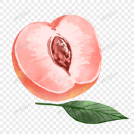 WWW,647av·COM网站APPAPP应用